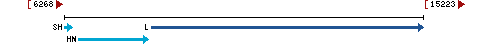 Genomic Context describing neighboring genes