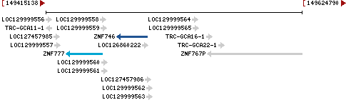 Genomic Context describing neighboring genes