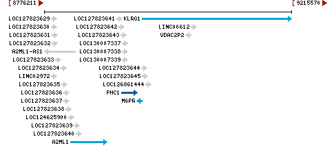 Genomic Context describing neighboring genes