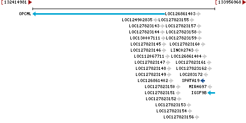 Genomic Context describing neighboring genes