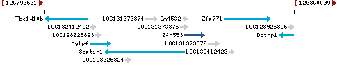 Genomic Context describing neighboring genes