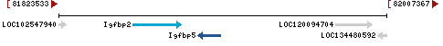 Genomic Context describing neighboring genes