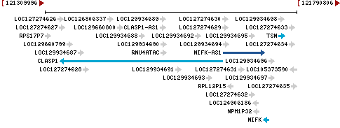 Genomic Context describing neighboring genes