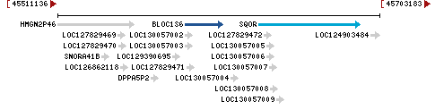 Genomic Context describing neighboring genes