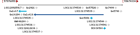 Genomic Context describing neighboring genes