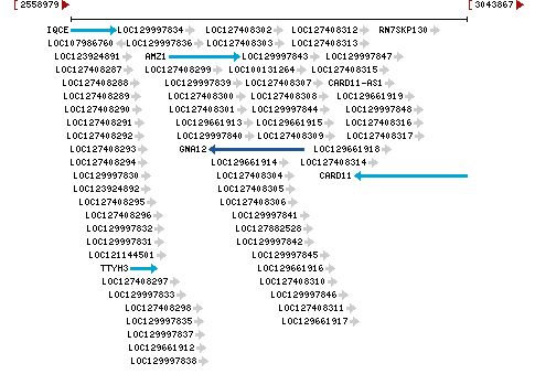 Genomic Context describing neighboring genes