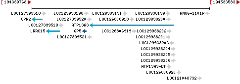 Genomic Context describing neighboring genes