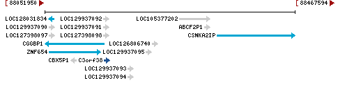 Genomic Context describing neighboring genes