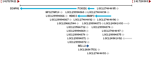 Genomic Context describing neighboring genes