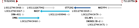 Genomic Context describing neighboring genes