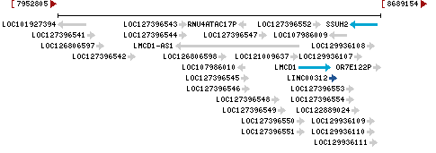 Genomic Context describing neighboring genes