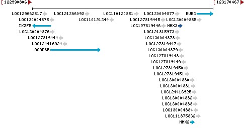 Genomic Context describing neighboring genes