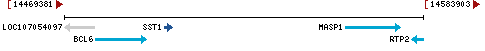 Genomic Context describing neighboring genes