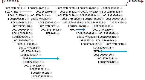 Genomic Context describing neighboring genes