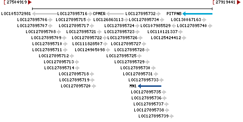 Genomic Context describing neighboring genes