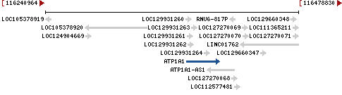 Genomic Context describing neighboring genes