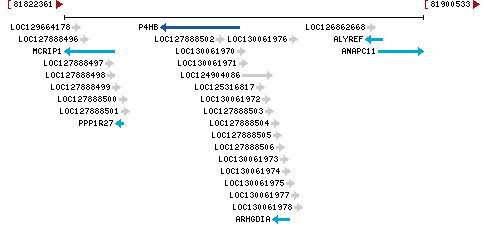 Genomic Context describing neighboring genes