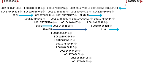 Genomic Context describing neighboring genes