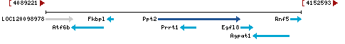 Genomic Context describing neighboring genes