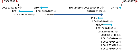 Genomic Context describing neighboring genes