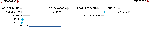 Genomic Context describing neighboring genes