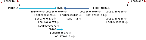 Genomic Context describing neighboring genes