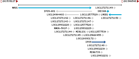 Genomic Context describing neighboring genes