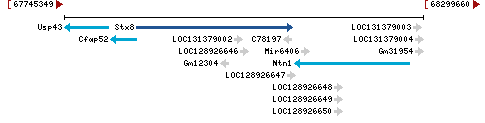 Genomic Context describing neighboring genes