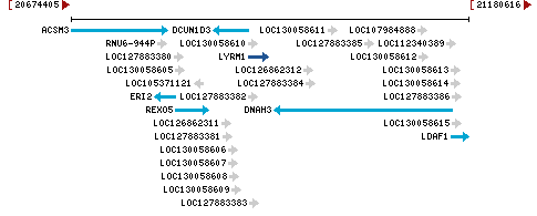 Genomic Context describing neighboring genes