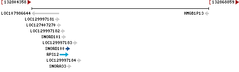 Genomic Context describing neighboring genes