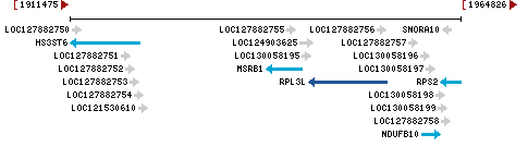 Genomic Context describing neighboring genes