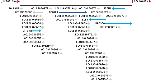 Genomic Context describing neighboring genes