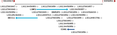 Genomic Context describing neighboring genes