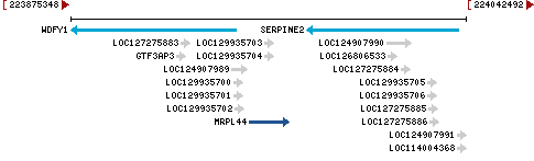 Genomic Context describing neighboring genes