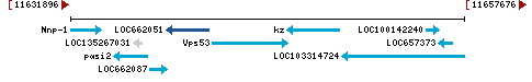 Genomic Context describing neighboring genes