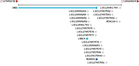 Genomic Context describing neighboring genes