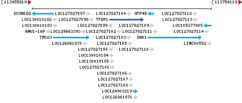 Genomic Context describing neighboring genes