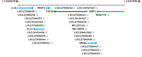 Genomic Context describing neighboring genes