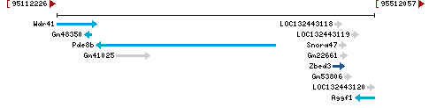 Genomic Context describing neighboring genes