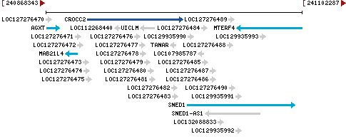 Genomic Context describing neighboring genes