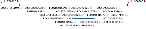 Genomic Context describing neighboring genes