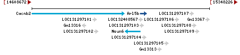 Genomic Context describing neighboring genes