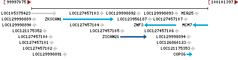 Genomic Context describing neighboring genes