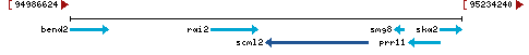 Genomic Context describing neighboring genes