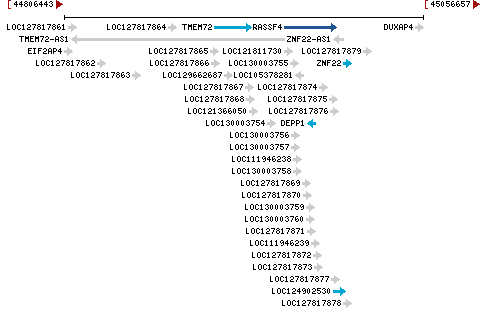 Genomic Context describing neighboring genes