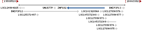 Genomic Context describing neighboring genes