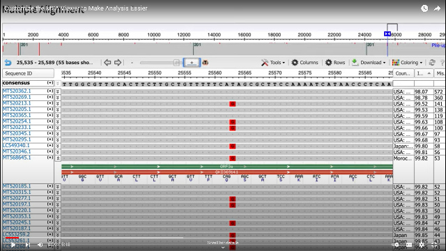 nucleotide sequence alignment tool