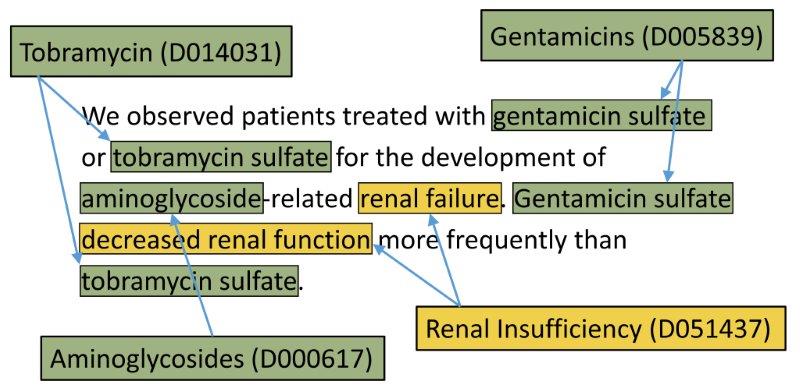 Biomedical named entity normalization via interaction-based