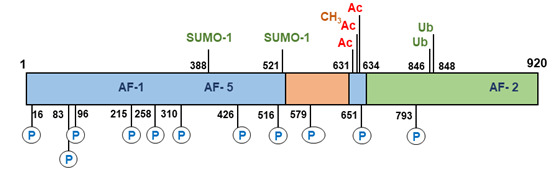 Figure 11 [post Translational Modifications Of The Human