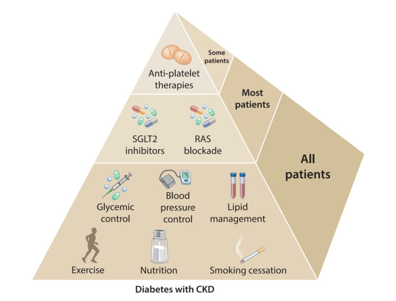 Figure 9. . Patients with diabetes and CKD should be treated with a comprehensive strategy to reduce risks of kidney disease progression and cardiovascular disease Source: Reproduced with permission from Kidney Disease: Improving Global Outcomes (KDIGO) (172).